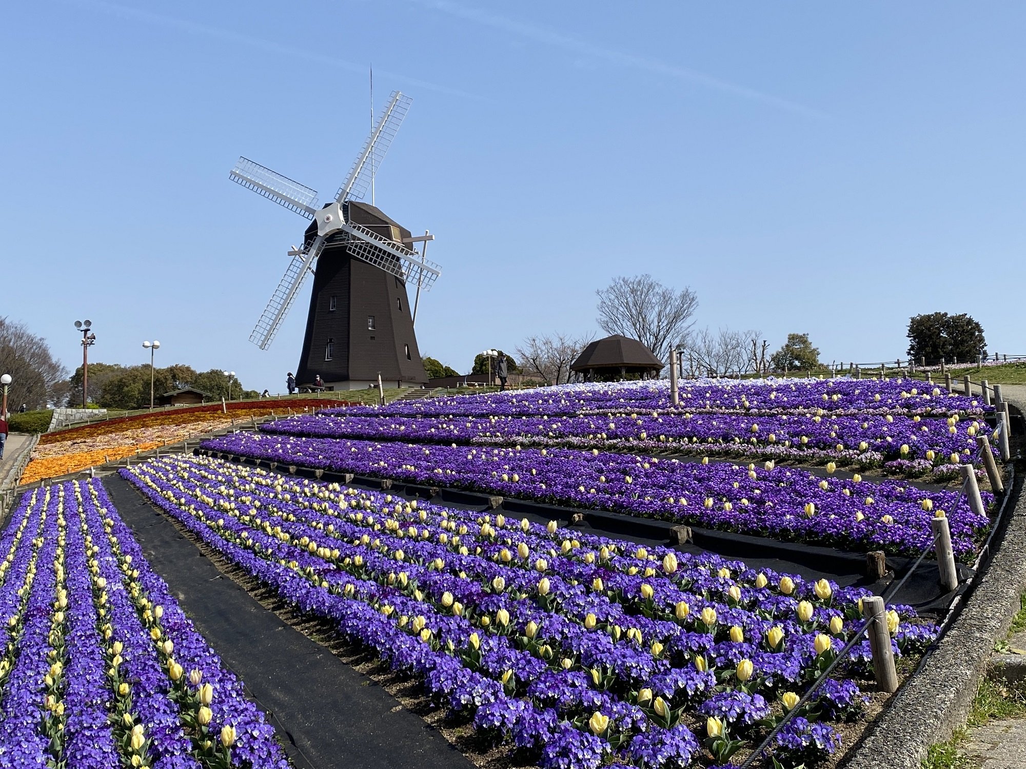 🌳 꽃박람회 기념공원 쓰루미 녹지